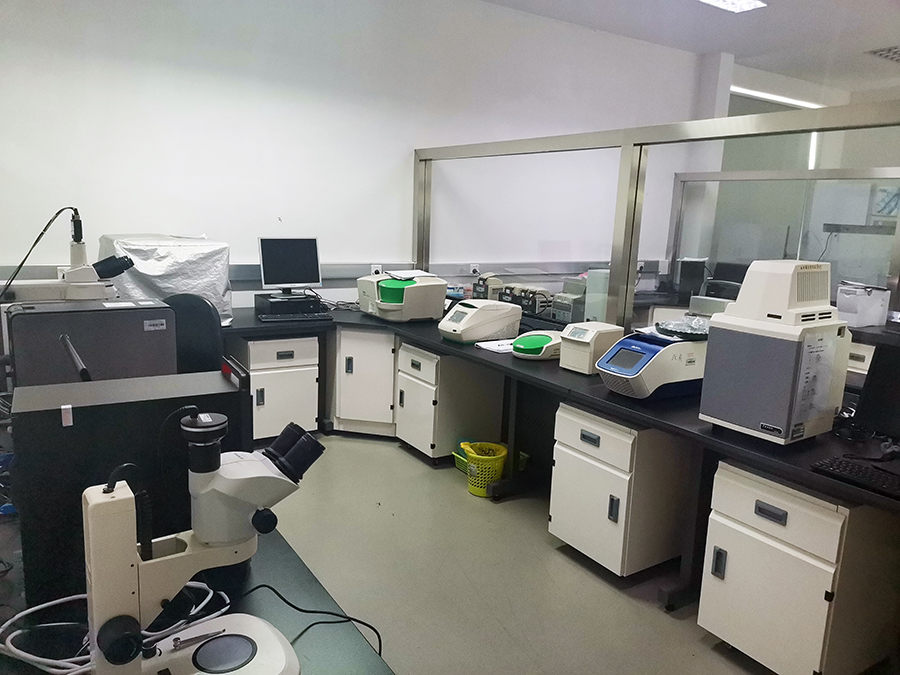 茶树生物学实验室1.jpg