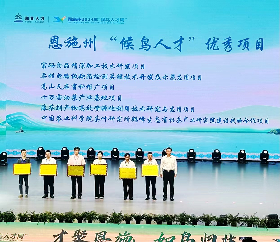 p1.png