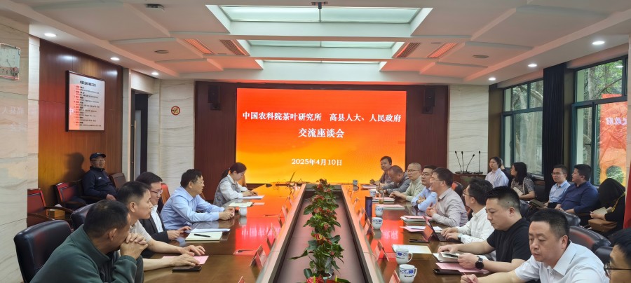 p1.jpg
