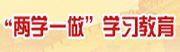 “两学一做”学习教育专栏