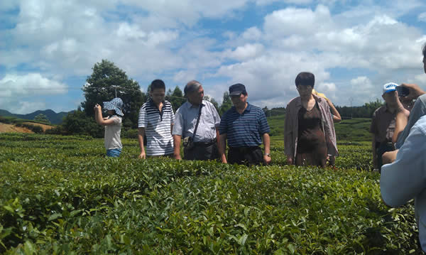 width=600