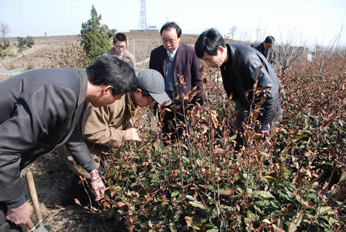 王立研究员（左二）现场技术指导